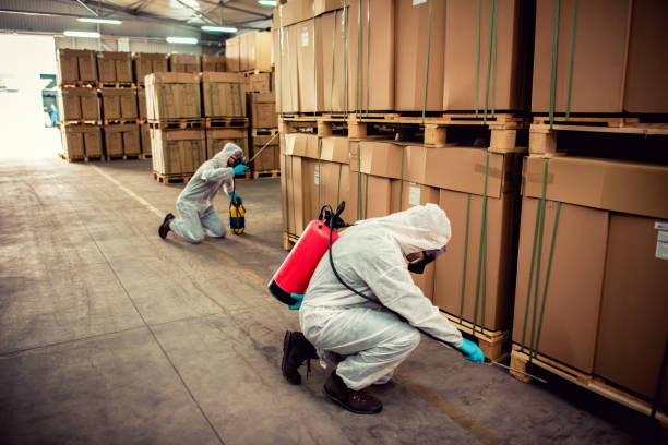 Best Pest Inspection Near Me  in Morgantown, KY