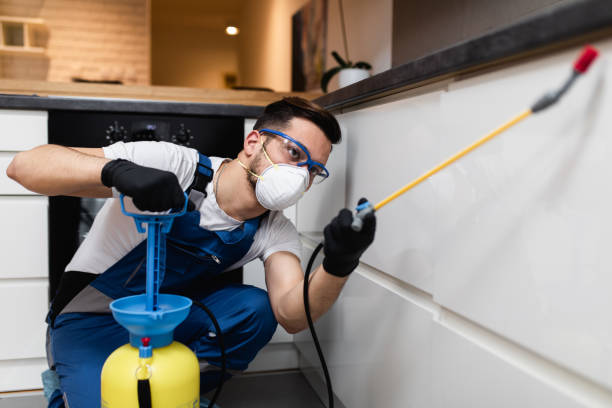 Best Commercial Pest Control Services  in Morgantown, KY