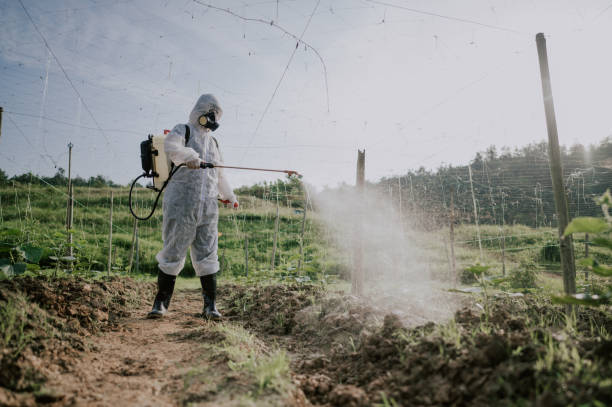 Best Pest Prevention Services  in Morgantown, KY