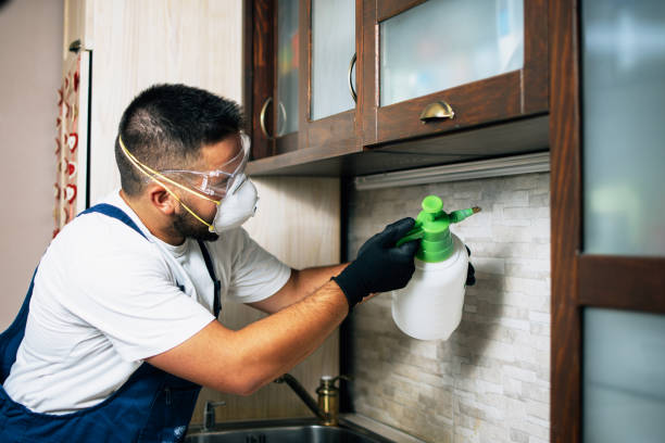 Reliable Morgantown, KY Pest Control Solutions