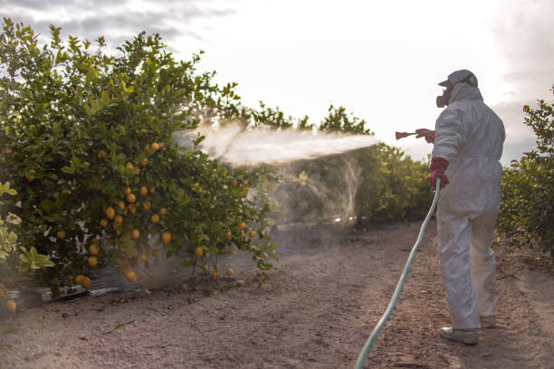 Pest Prevention Services in Morgantown, KY