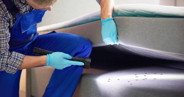 Best Residential Pest Control  in Morgantown, KY