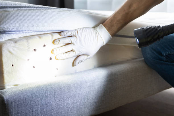 Best Pest Control Near Me in Morgantown, KY