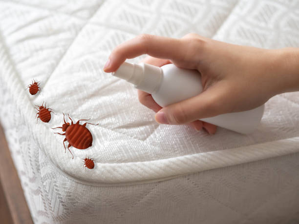 Best Best Pest Control Companies  in Morgantown, KY