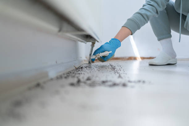 Best Best Pest Control Companies  in Morgantown, KY